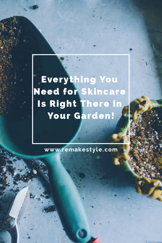 Everything You Need for Skincare Is Right There in Your Garden!